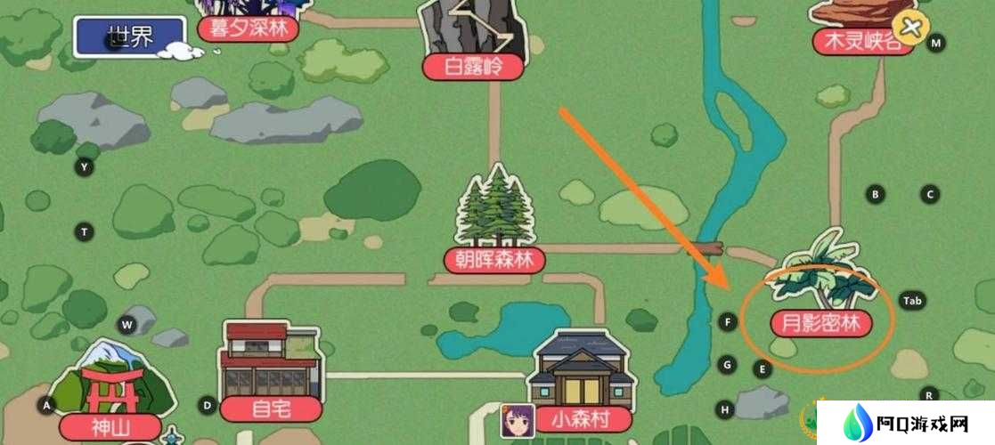 小森生活水拓木刷新时间及位置一览,资源管理的高效指南