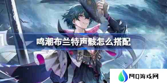 鸣潮布兰特声骸怎么搭配-鸣潮布兰特声骸推荐