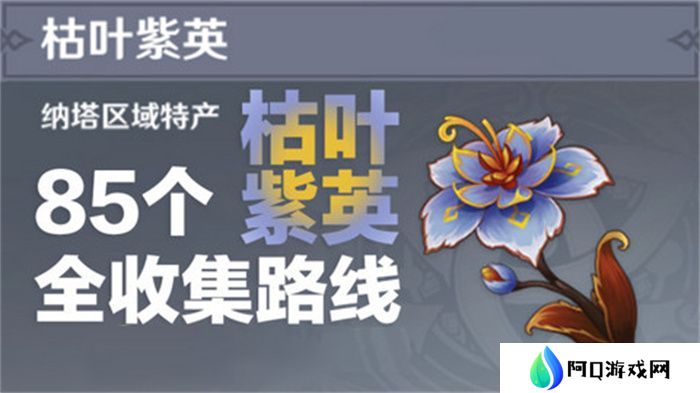 原神枯叶紫英收集全攻略 85个枯叶紫英位置在哪里[多图]