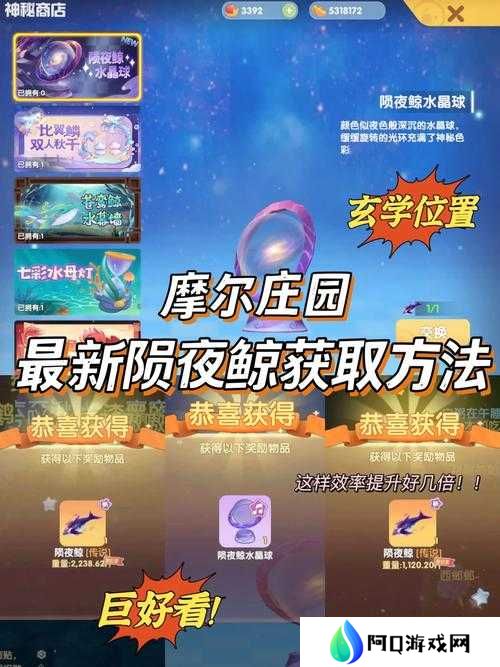 摩尔庄园手游雨点球位置全解析