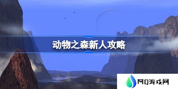 动物之森新人经营攻略-动物之森新人怎么玩