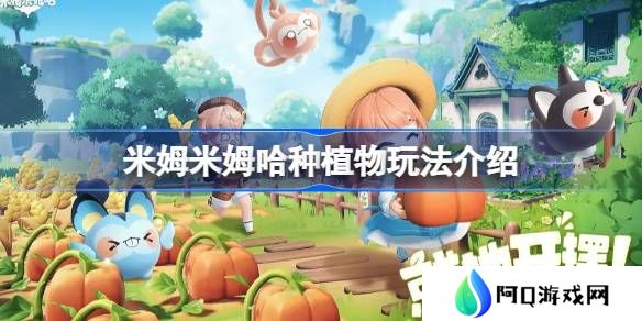 米姆米姆哈该怎么种植物-米姆米姆哈种植物玩法介绍