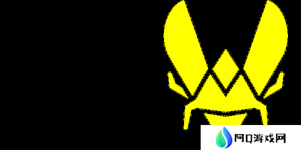 2025一骑绝尘的Vitality是王朝队伍吗？